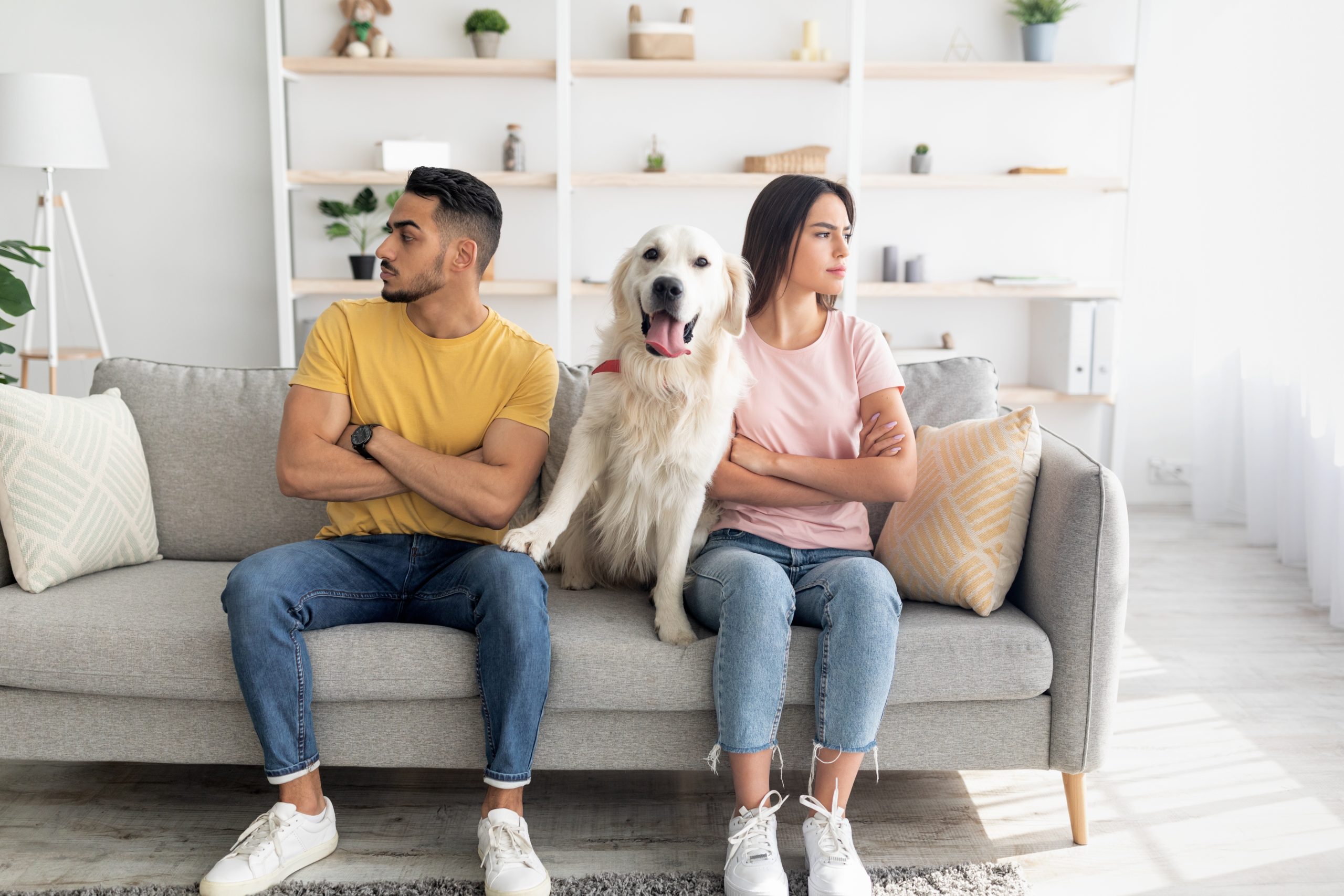 After we’ve divorced, who gets the dog?