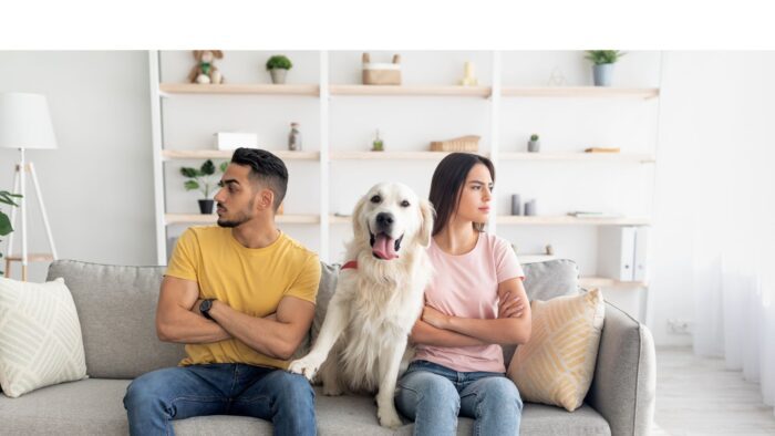 After we’ve divorced, who gets the dog? 3 Untitled design 25