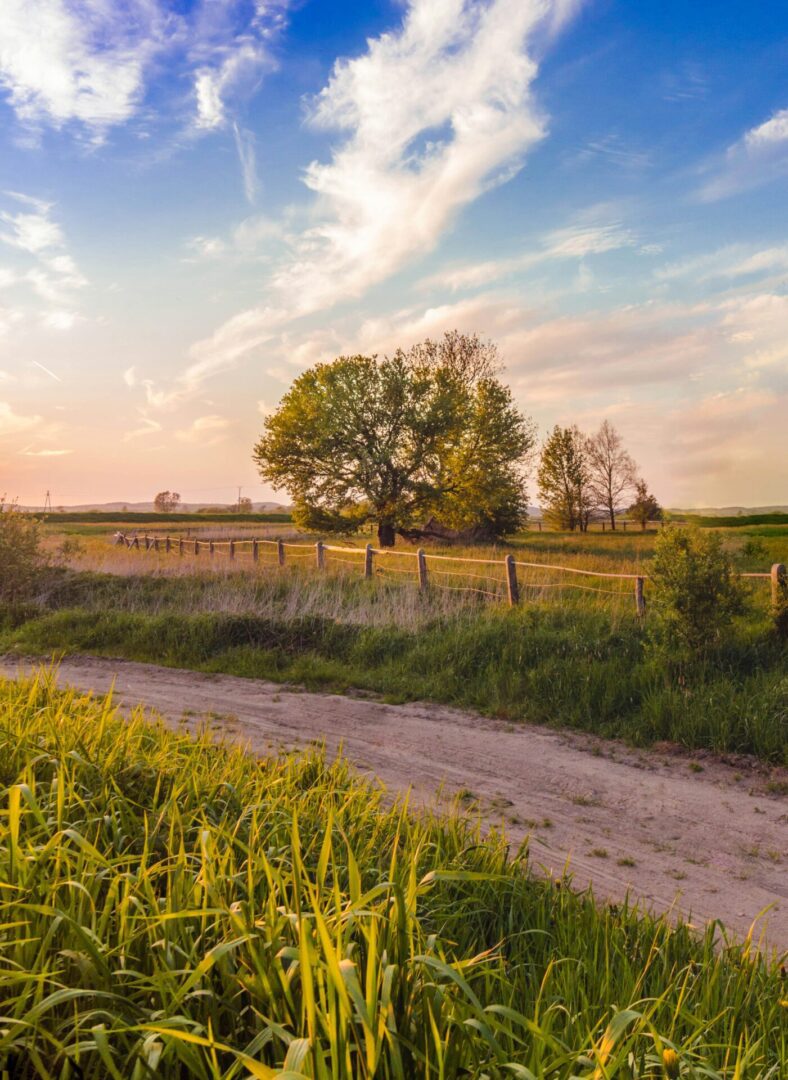 Farms and divorce