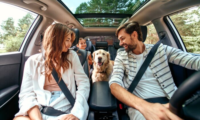 Petnups and Pet Arrangement Orders: Is the Law Changing for Our Furry Friends on Divorce? 18 family and dog