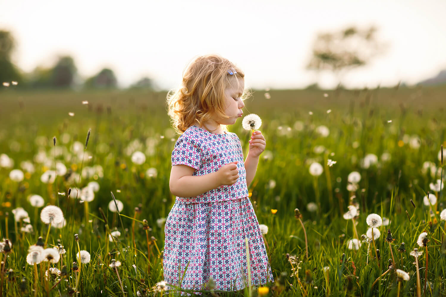 Young girl blowing a dandelion in a sunny meadow, symbolising innocence and childhood freedom.