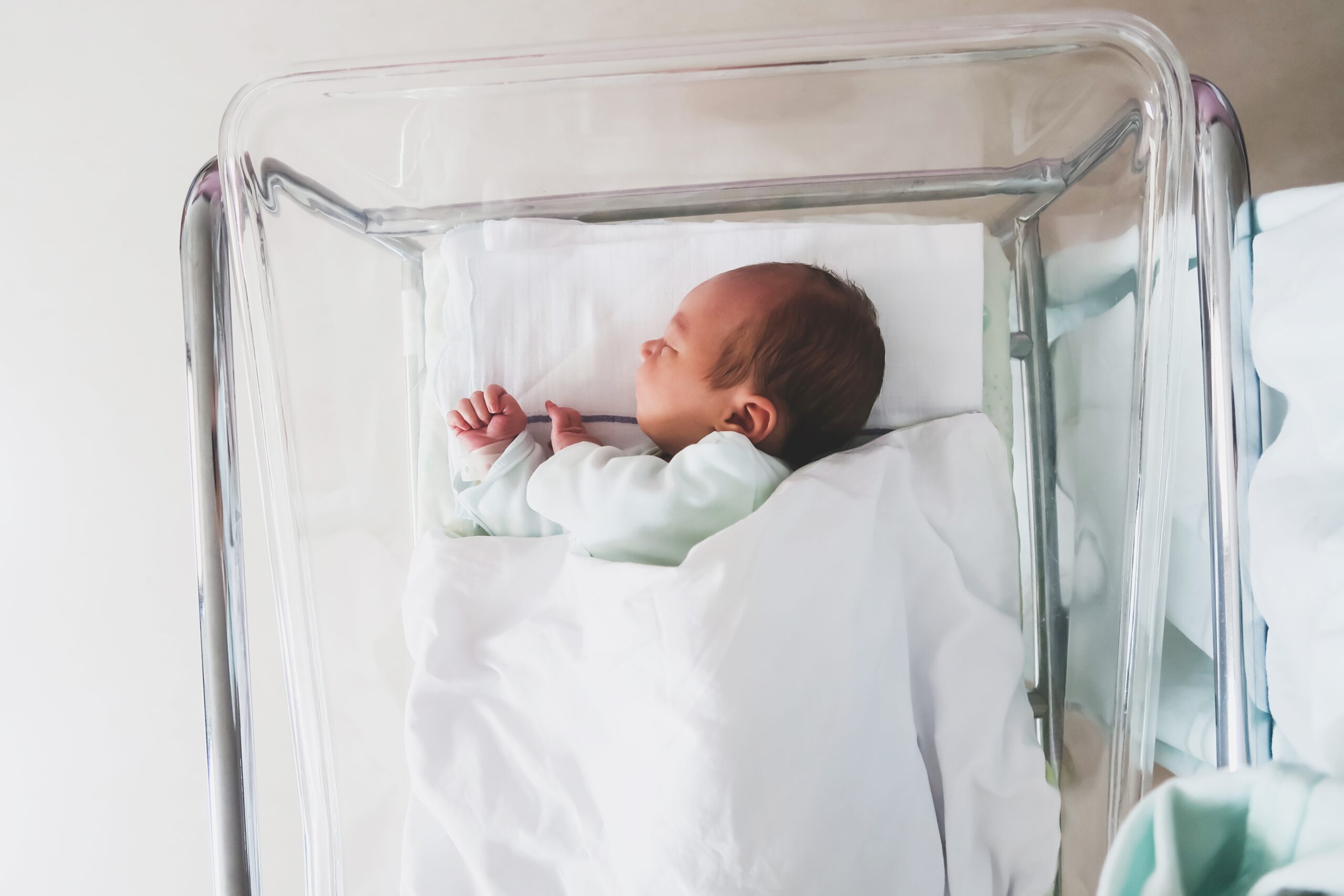 shutterstock 2459495771