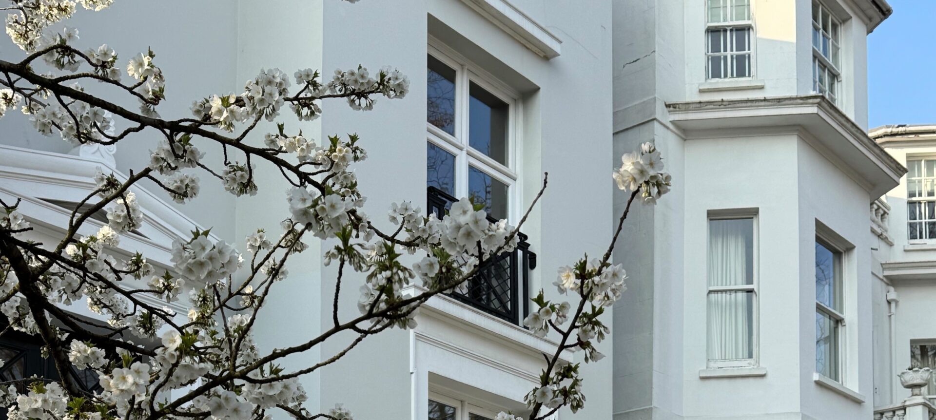 shutterstock 2731738671